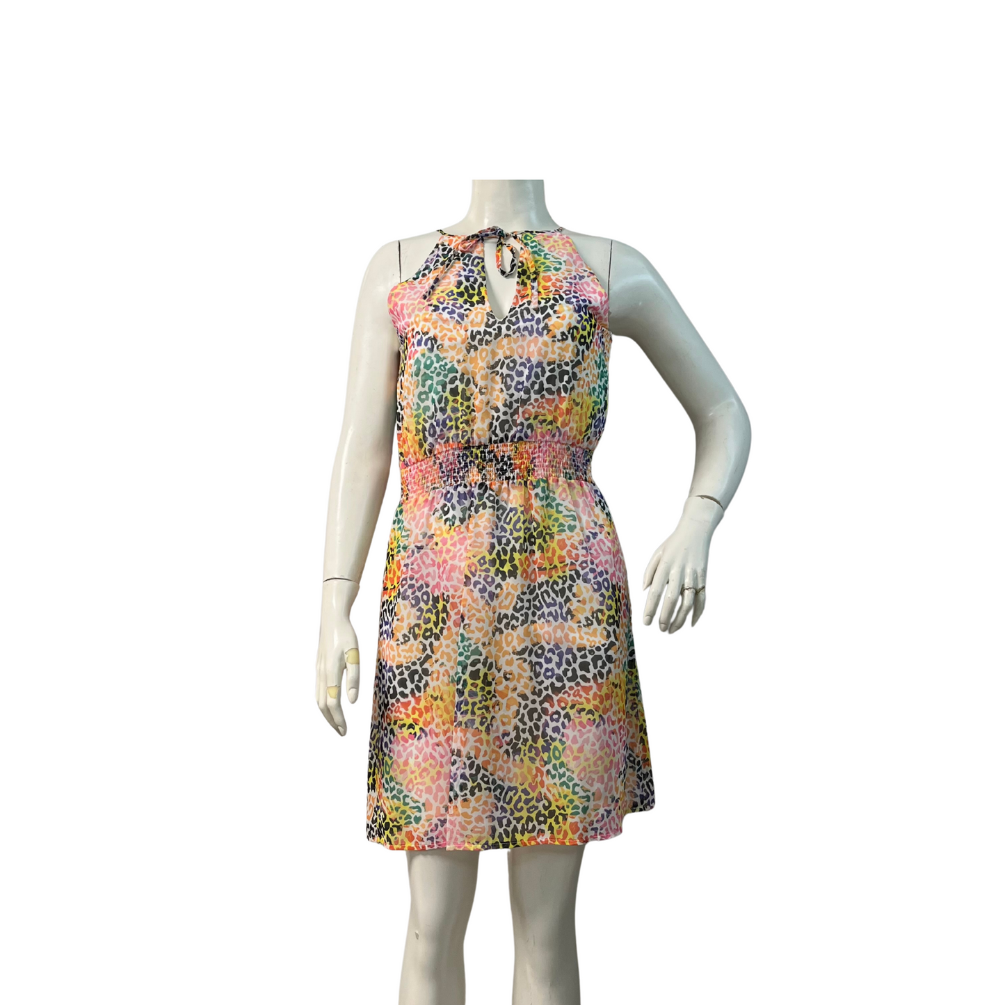 Savanna Chic Dress