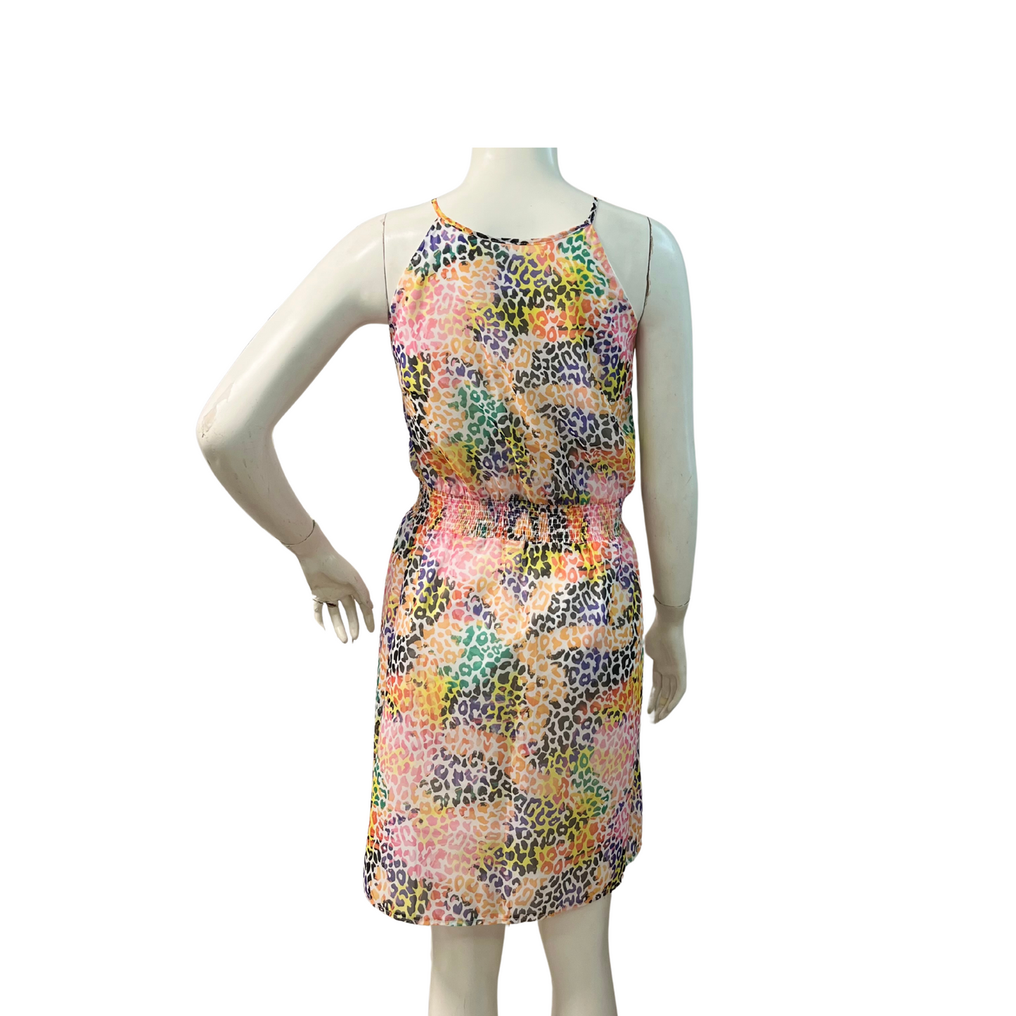 Savanna Chic Dress